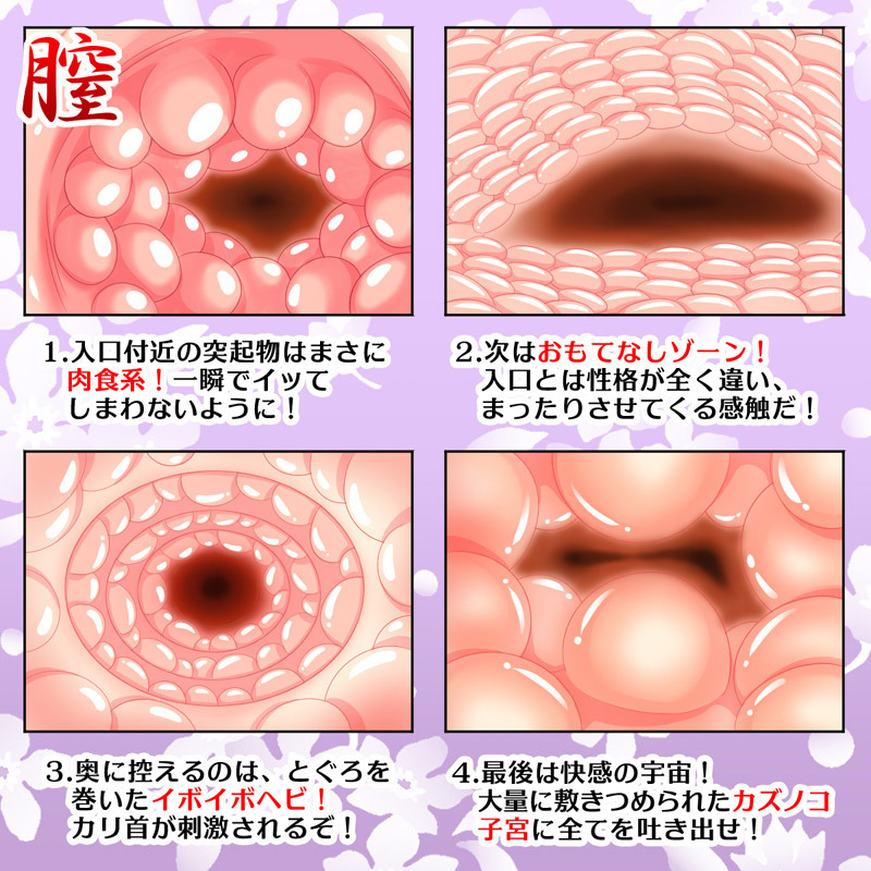 ���A���{�f�B�@�i�i�t�k�h�`�j