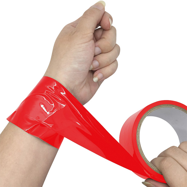 �ȒP�ٔ��{���f�[�W�e�[�v�Q�O���@�i���b�h�j