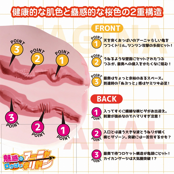 ���A���{�f�B�{�R�c�{�[���V�X�e���@�i���f�̃��P�ς��@�A�[�j���E�L�������j